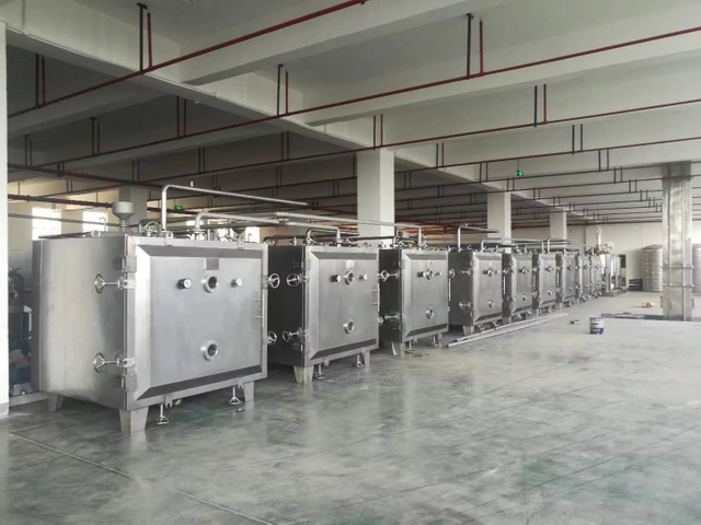 مجفف صينية الفراغ