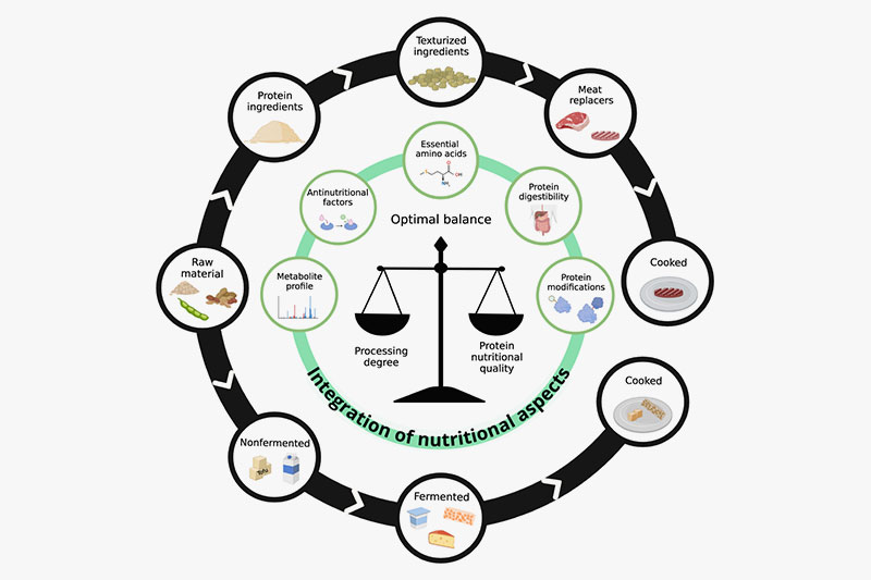 Producci&oacute;n-sostenible-de-prote&iacute;nas-vegetales